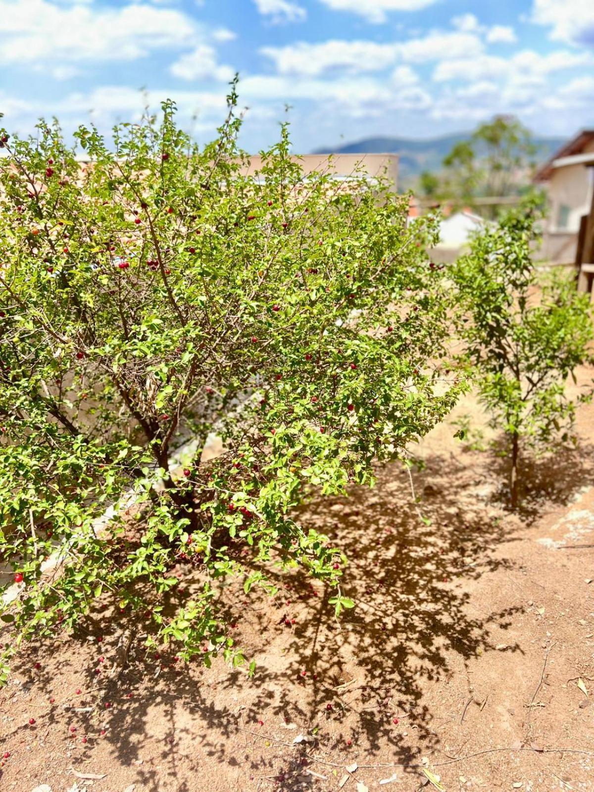 Holiday home Chacara Aconchego Da Serra